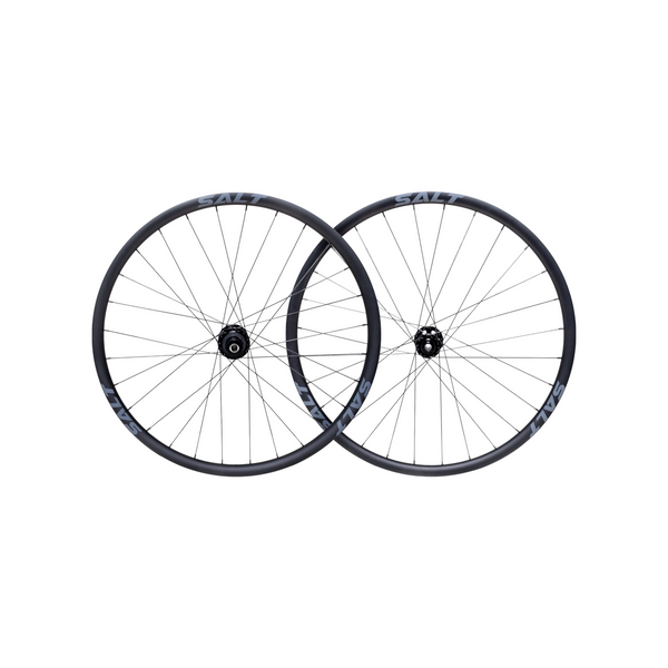 SALT Pro DB2935 MTB Carbon Wheelset - photo 1